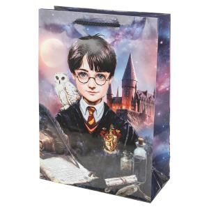Пакет подарочный глянцевый ml,школа волшебства,140 гр/м2 ЧУДО ПРАЗДНИК PML-130552-HP
