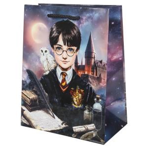 Пакет подарочный глянцевый м,школа волшебства,140 гр/м2 ЧУДО ПРАЗДНИК PM-130551-HP