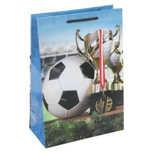 Пакет подарочный глянцевый ml,футбол,140 гр/м2 ЧУДО ПРАЗДНИК PML-131197-FB