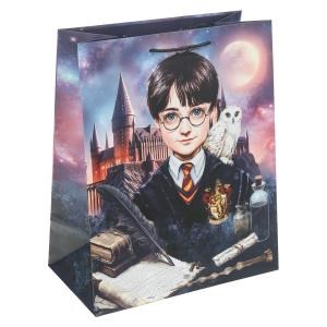 Пакет подарочный МАТОВЫЙ l,школа волшебства,140 гр/м2 ЧУДО ПРАЗДНИК PL-130218-HP