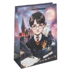Пакет подарочный МАТОВЫЙ ml,школа волшебства,140 гр/м2 ЧУДО ПРАЗДНИК PML-130217-HP