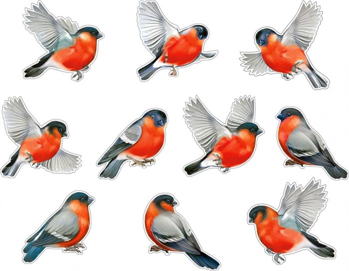 Набор украшений на скотче "Снегири" HP-74 HP-74