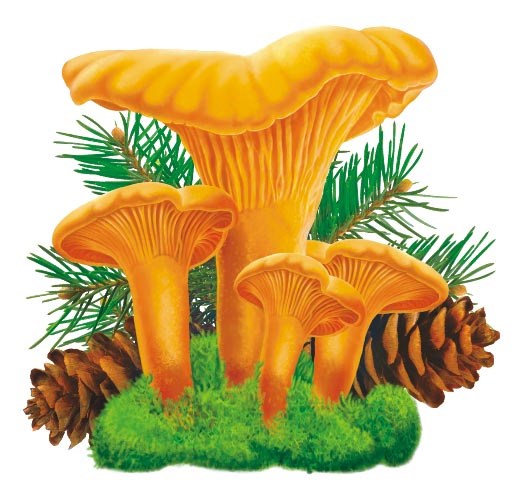 Украшения на скотче "Лисичка" УС-017 УС-017