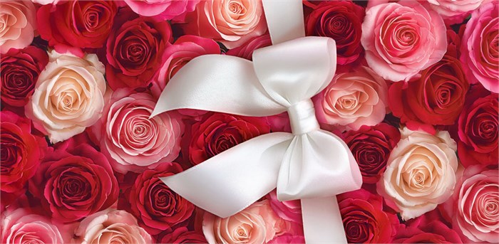 Конверт для денег "Без надписи" ОКЛ-312 ОКЛ-312