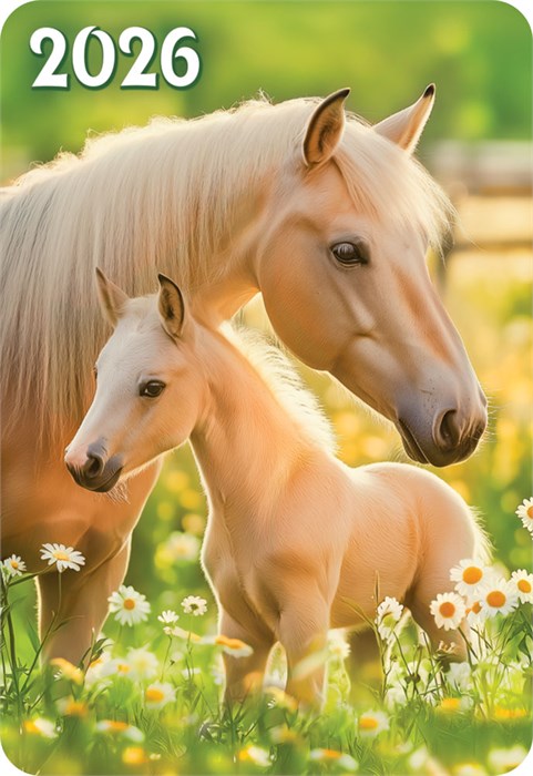 Карманный календарь 2026 "Символ года" КГ-26-175 КГ-26-175