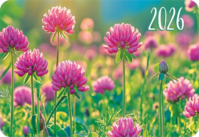 Карманный календарь 2026 "Полевые цветы" КГ-26-317 КГ-26-317