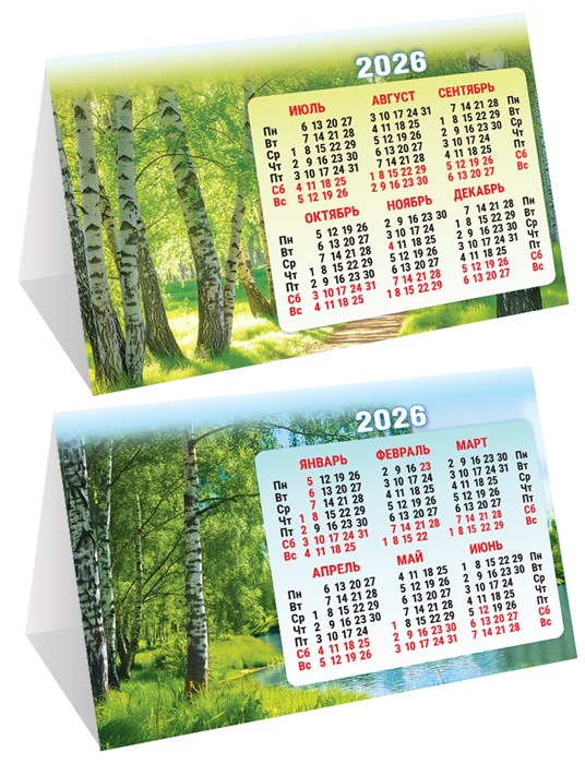 Настольный календарь-домик (складной) на 2026 год "Природа. Берёзки" КДС-26-027 КДС-26-027