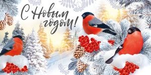 Конверт для денег "С Новым годом" 38,251,00 38,251,00