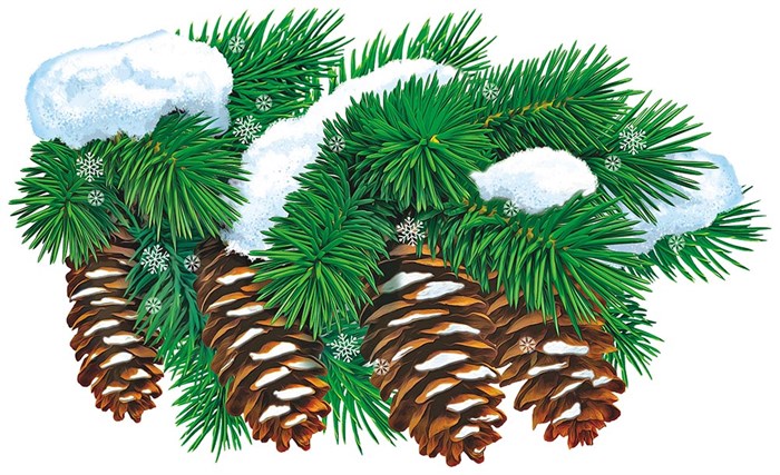 Плакат фигурный "Еловая ветка" ВПА3-008 ВПА3-008