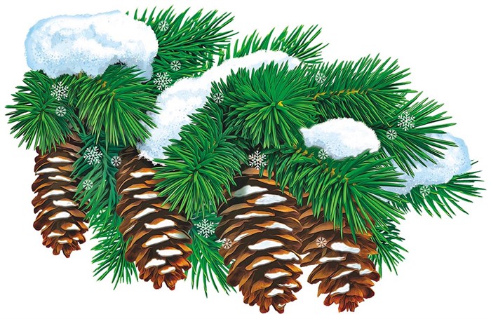 Плакат фигурный "Еловая ветка" ВПА4-002 ВПА4-002