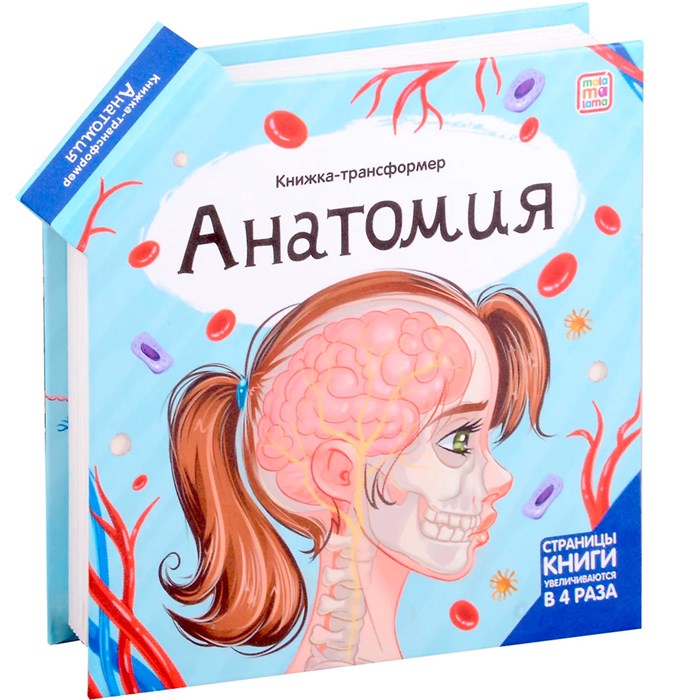 Книга-трансформер 9785001349228 Анатомия 401-020