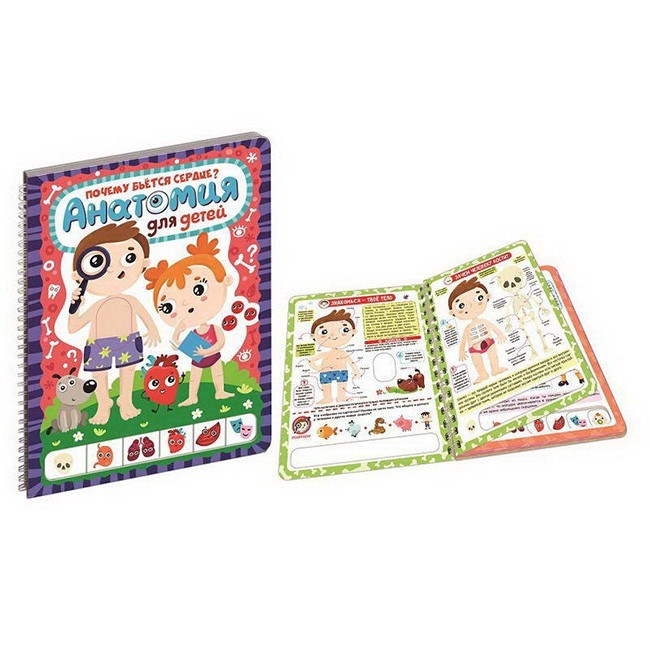 Книга на пружинке 9785001340492 Почему бьется сердце?Анатомия для детей 785-326