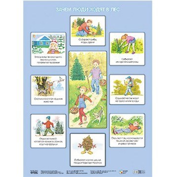 Плакат 978-5-43150-636-9 Зачем люди ходят в лес 485-967