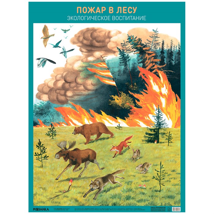 Книга 978-5-43152-707-4 Пожар в лесу 401-243