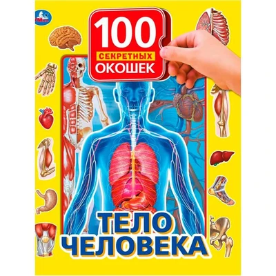 Книга Умка 9785506037583 Тело человека.100 окошек для малышей 885-710