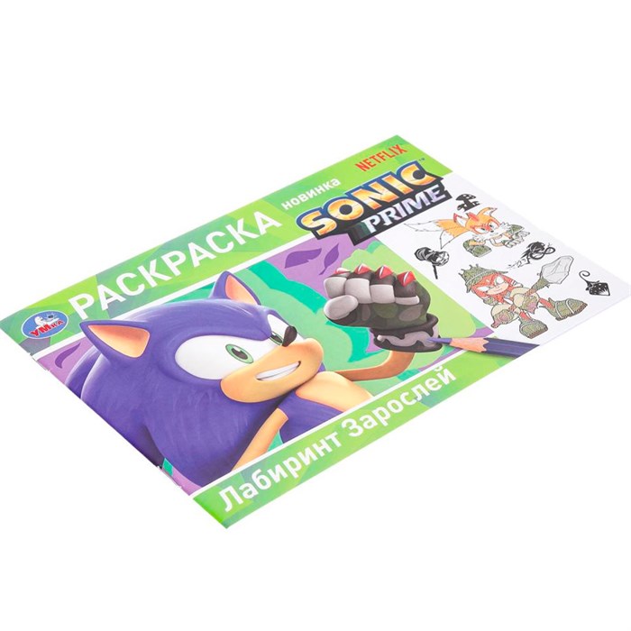 Раскраска 9785506096894 Лабиринт Зарослей 501-487