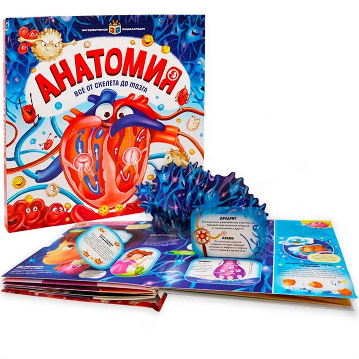 Книга 9785001345848 Интерактивная энциклопедия. Анатомия 401-036