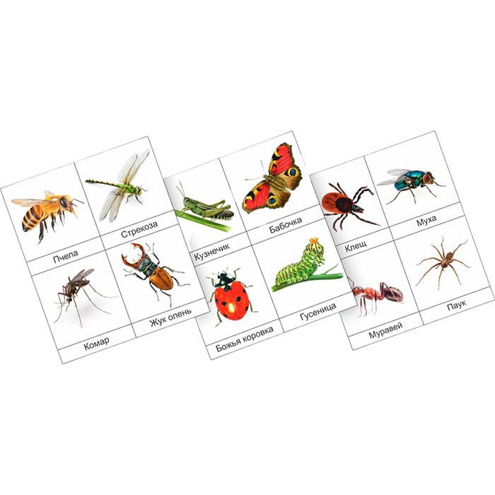 Игрушка развивающая Набор Насекомые 10 шт. 009.25 418-135