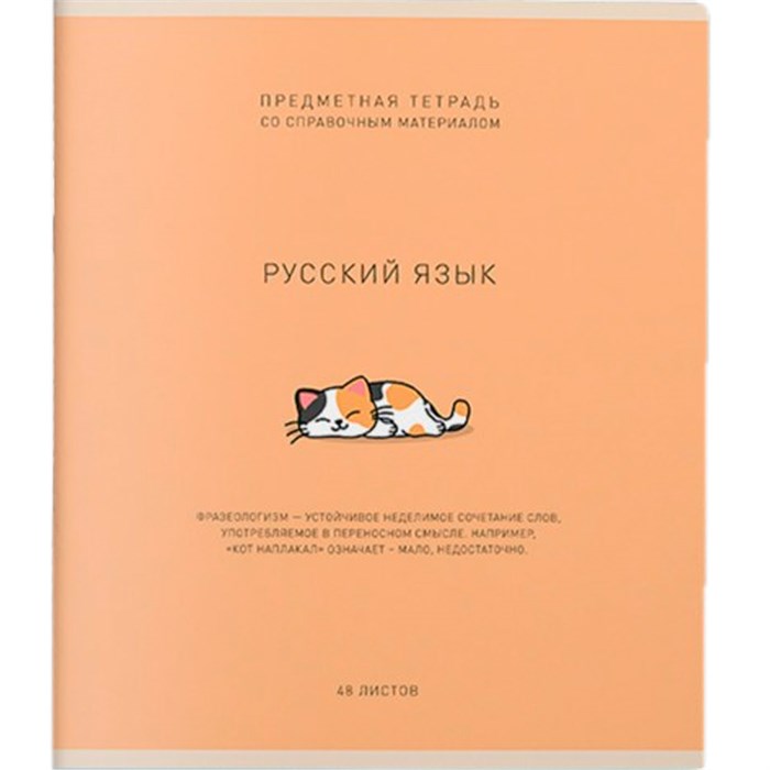 Тетрадь 48 л. Линия Ми-ни-Ми Русский язык 022471 898-821