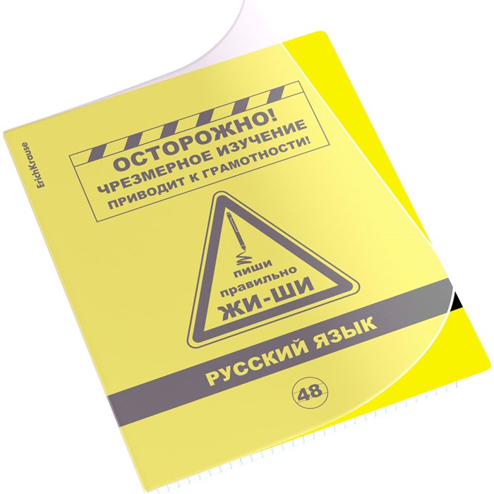 Тетрадь 48 л. линейка Be Informed, Русский язык 59480 ErichKrause 898-346