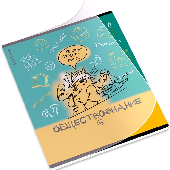 Тетрадь 48 л. клетка Котоформулы, Обществознание 62534 ErichKrause 898-367