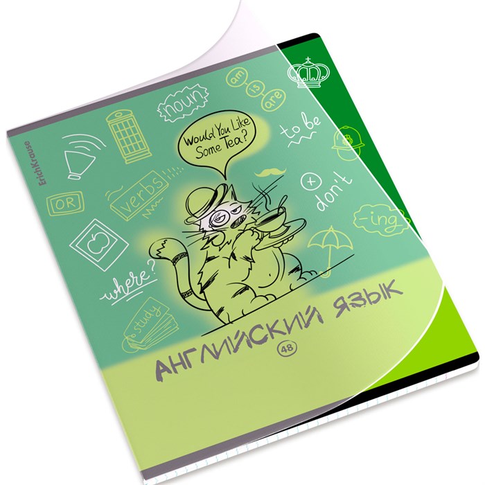 Тетрадь 48 л. клетка Котоформулы, Английский язык 62535 ErichKrause 898-368