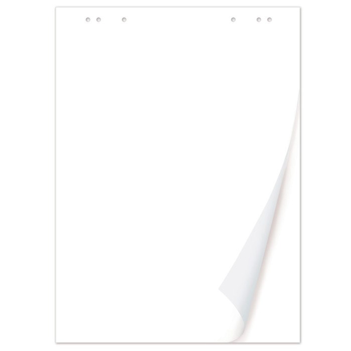 Блокнот д/ флипчарта  20 л Чистые  67,5*98 см 128646 BRAUBERG 896-875