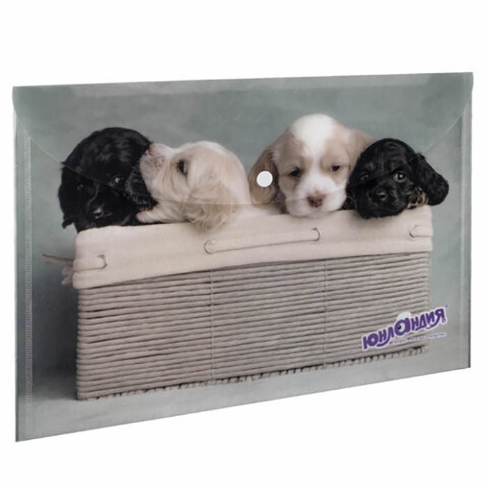 Папка-конверт с кнопкой А4 до 100 листов Щенки ЮНЛАНДИЯ 228050 891-895