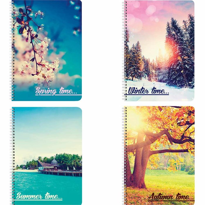 Тетрадь 48 л. клетка 4 сезона 403071 Brauberg. 910-396