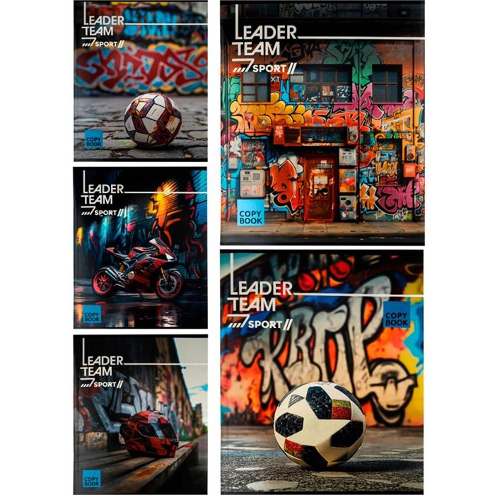Тетрадь 96 л. клетка ГРАФФИТИ И СПОРТ 96-8441 897-927