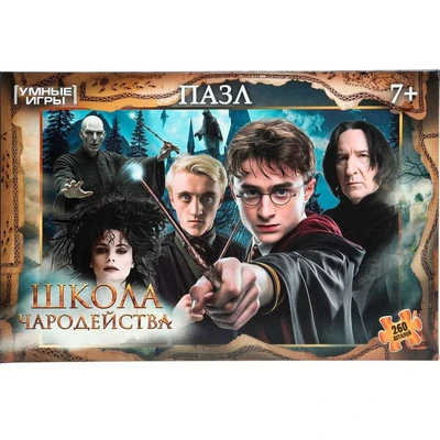 Пазл 260 Школа чародейства 4630395011655 935-354