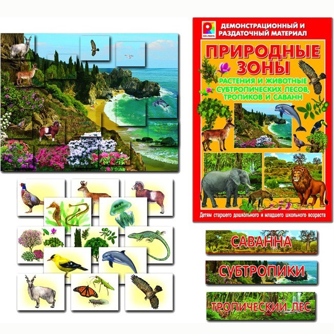 Игра Природные зоны. Субтропики 512-442