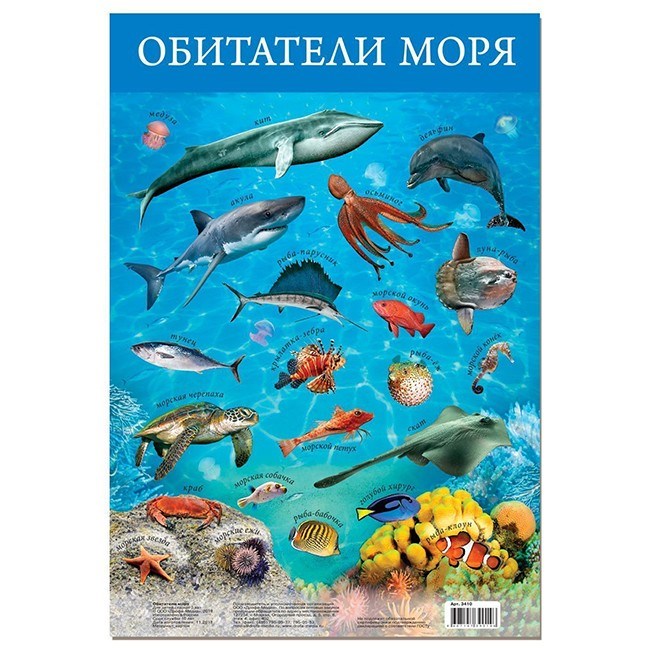 Плакат Обитатели моря 3410 710-260