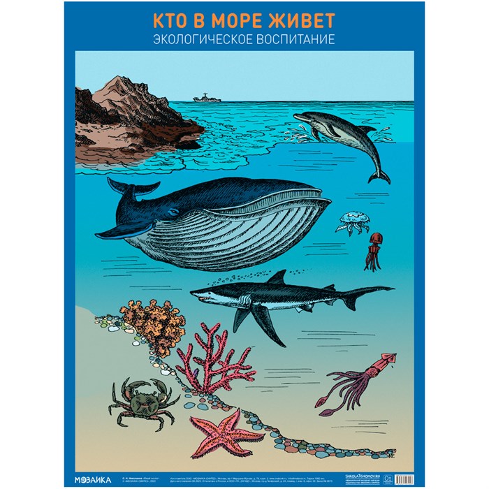 Плакат 978-5-43152-704-3 Кто в море живет 401-240