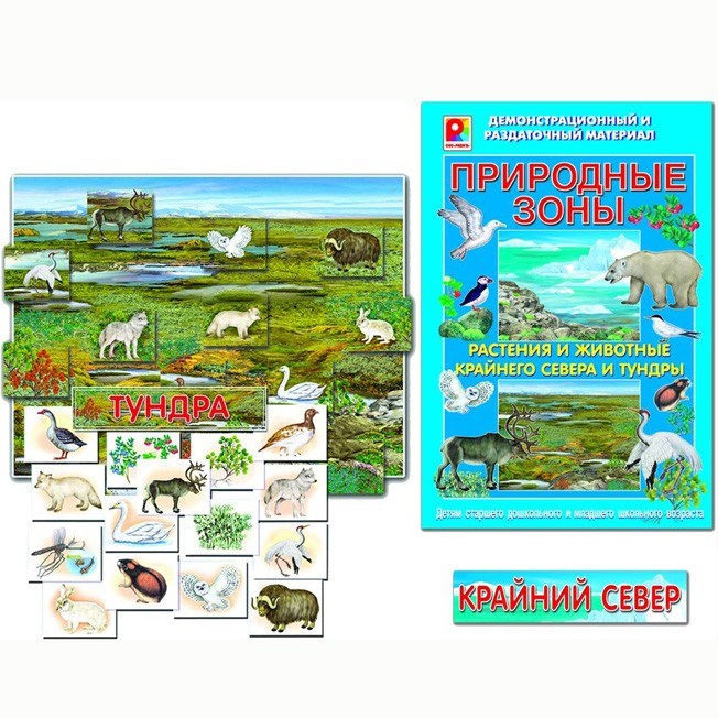 Игра Природные зоны.Крайний север 512-443
