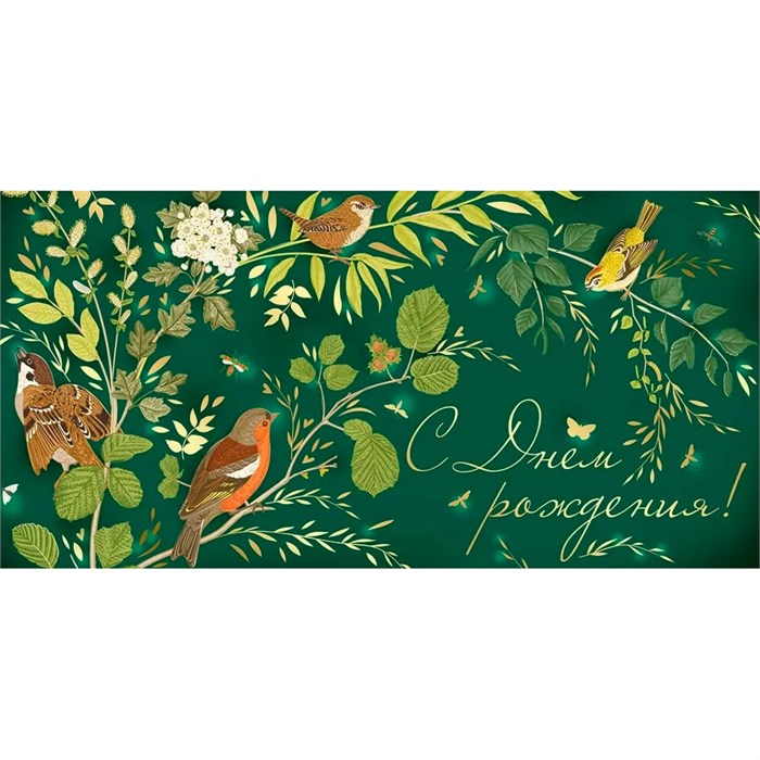 Конверт для денег С Днем рождения! 41,881,00 561-443