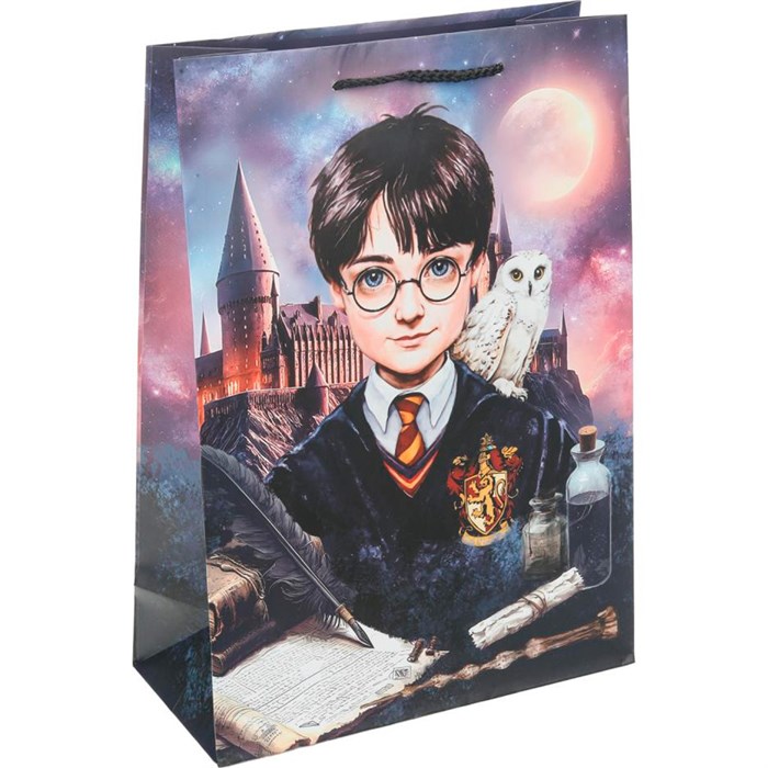 Пакет Чудо праздник матовый ml Школа волшебства PML-130217-HP 660-640