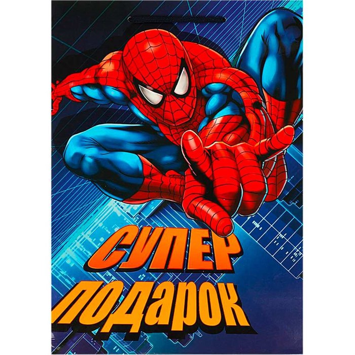 Пакет Чудо праздник ml 22*31*10 см PML-97449-SM 462-082