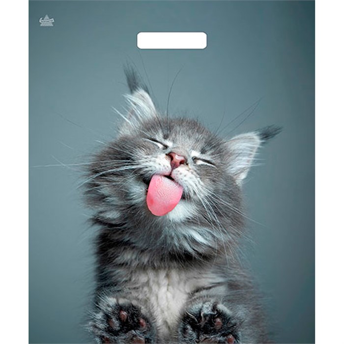 Пакет ПЭ с вырубной ручкой 38х45+3см Кот ВУР51801 561-135