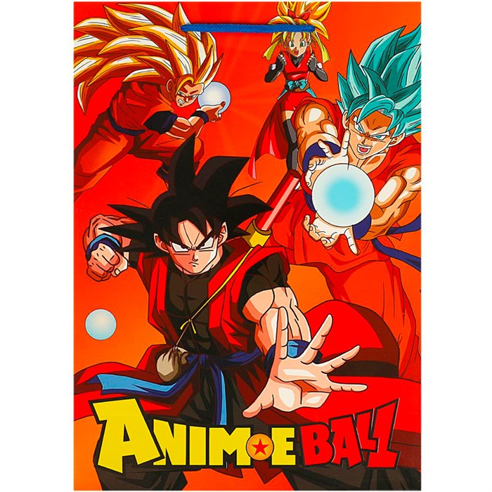 Пакет Чудо праздник ml 22*31*10 см PML-94984-DR 462-662