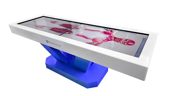 Интерактивный анатомический стол PL-Anatomy Tab Duo (полноростовой 50'' металл-пластик-МДФ) ✅ 2103