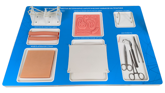 Тренажер "Отработка базовых хирургических навыков наложения швов" ✅ 2172