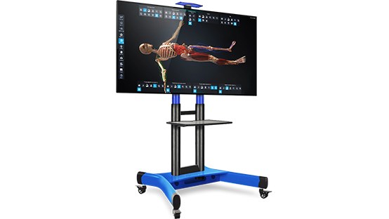 Интерактивный трёхмерный атлас анатомии человека PL-Anatomy ✅ 2096