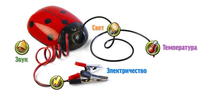 🔰Академия Наураши "Мультимедийная лаборатория" ✅ 10249