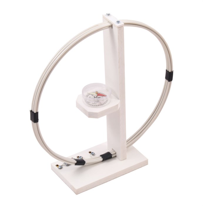 Набор "Магнитное поле Земли" 2749