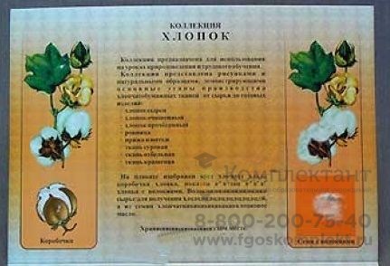 Коллекция "Хлопок для начальной школы" 1759651024