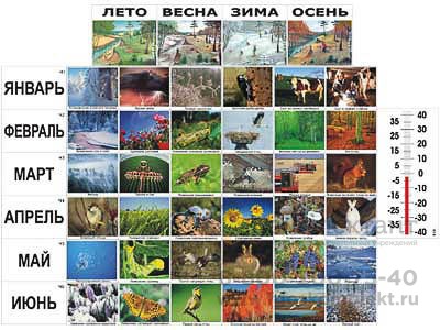 Фенологические наблюдения 1277275038