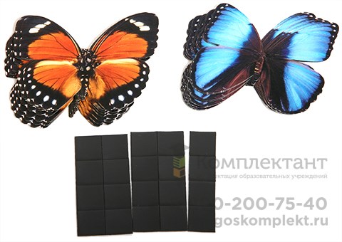 Счетный материал на магнитах " Бабочки " (с+к) 20 шт. 1222771691