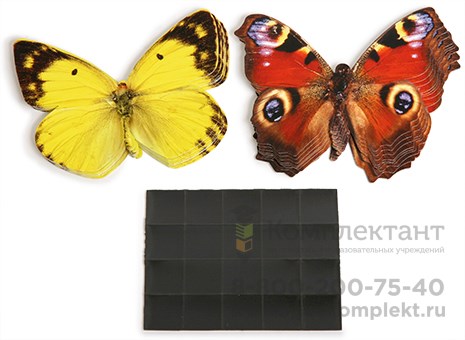 Счетный материал на магнитах " Бабочки " (ж+к) 20 шт. 601223770
