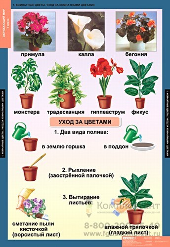 табл. Окружающий мир 1 класс (15 таблиц) 204974622